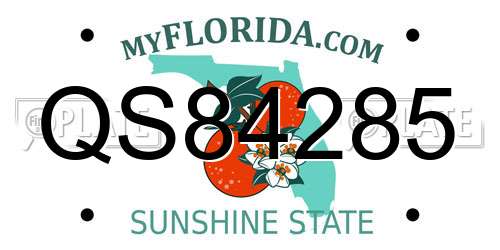 QS84285 Florida License Plate