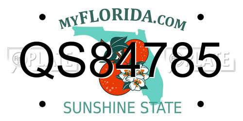 QS84785 Florida License Plate