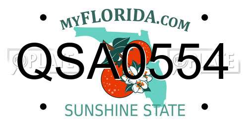 QSA0554 Florida License Plate