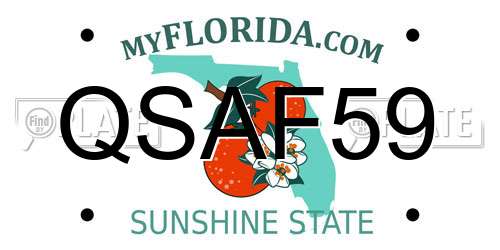 QSAF59 Florida License Plate