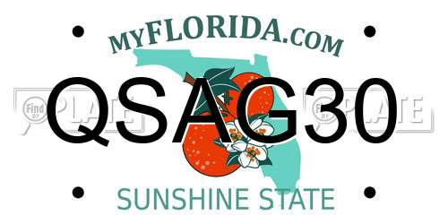 QSAG30 Florida License Plate