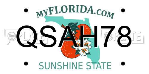 QSAH78 Florida License Plate