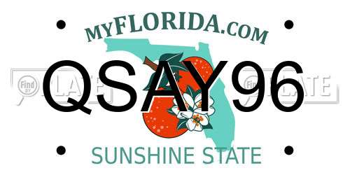 QSAY96 Florida License Plate