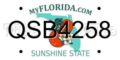 QSB4258 Florida License Plate