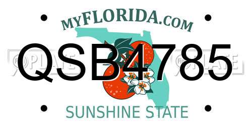 QSB4785 Florida License Plate