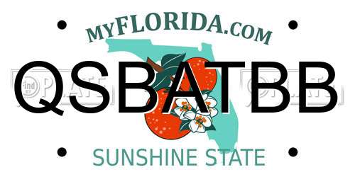 QSBATBB Florida License Plate