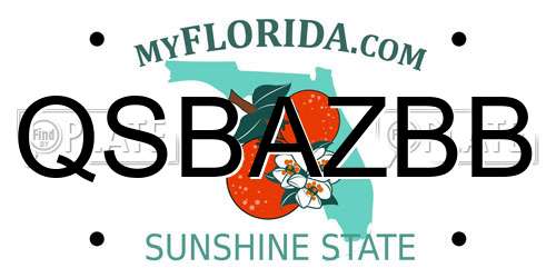 QSBAZBB Florida License Plate