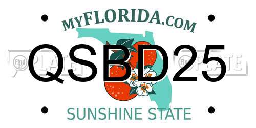 QSBD25 Florida License Plate