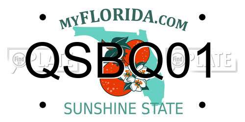 QSBQ01 Florida License Plate
