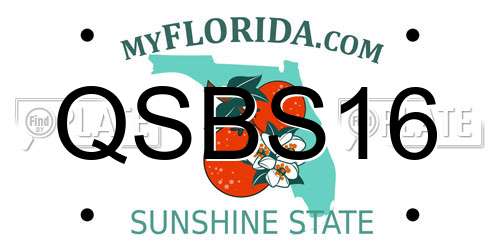 QSBS16 Florida License Plate