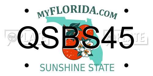 QSBS45 Florida License Plate
