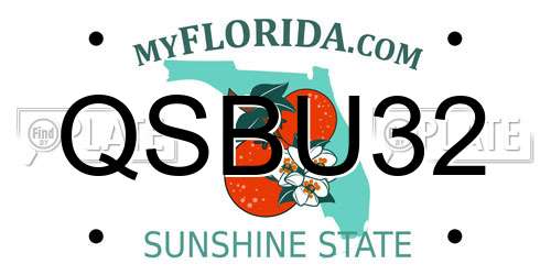 QSBU32 Florida License Plate