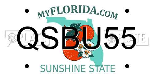 QSBU55 Florida License Plate