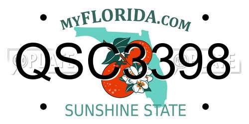 QSC3398 Florida License Plate