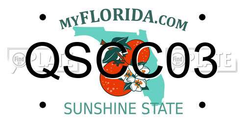 QSCC03 Florida License Plate