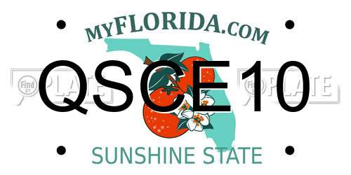 QSCE10 Florida License Plate