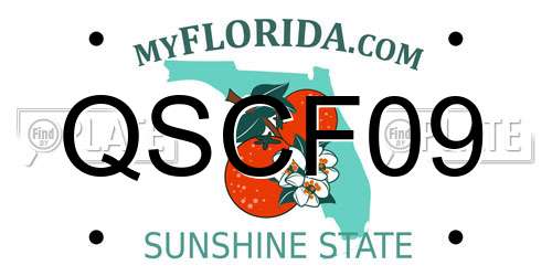 QSCF09 Florida License Plate