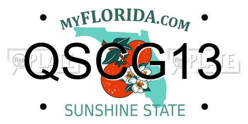 QSCG13 Florida License Plate