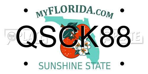 QSCK88 Florida License Plate