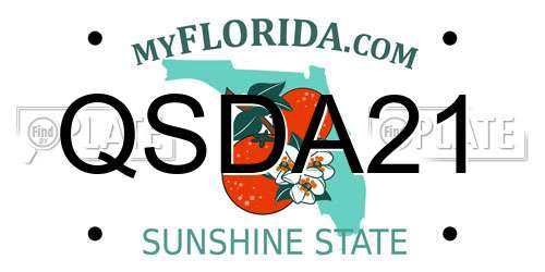 QSDA21 Florida License Plate
