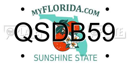QSDB59 Florida License Plate