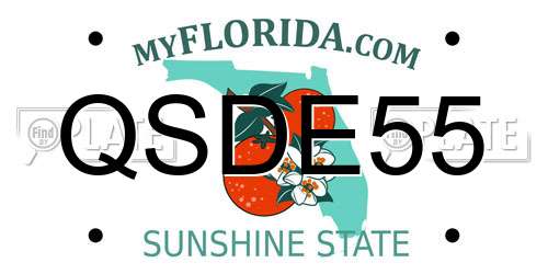 QSDE55 Florida License Plate