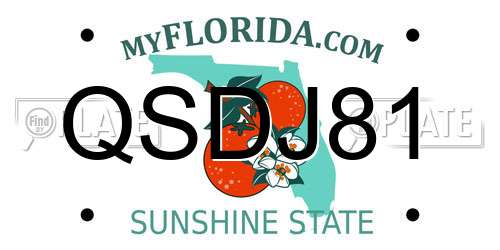 QSDJ81 Florida License Plate