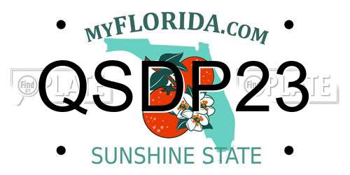 QSDP23 Florida License Plate