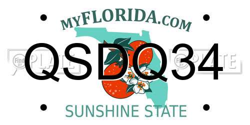 QSDQ34 Florida License Plate