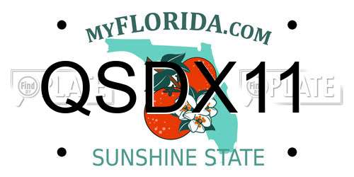 QSDX11 Florida License Plate