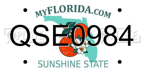 QSE0984 Florida License Plate