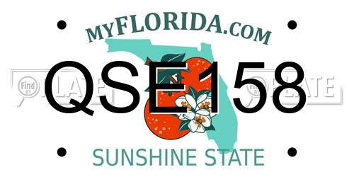 QSE158 Florida License Plate