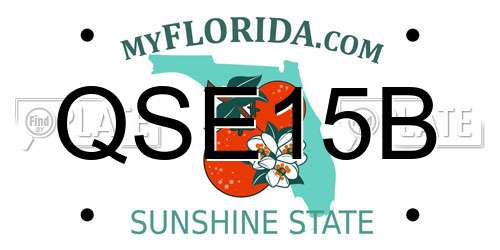 QSE15B Florida License Plate