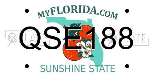 QSE188 Florida License Plate