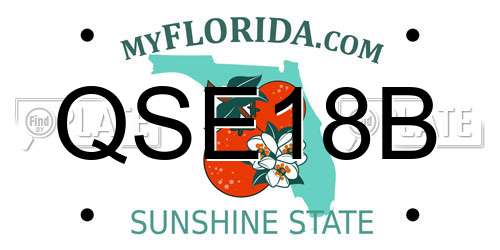 QSE18B Florida License Plate