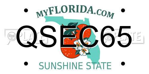 QSEC65 Florida License Plate