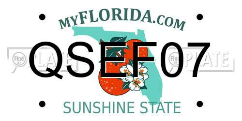 QSEF07 Florida License Plate