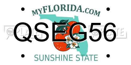 QSEG56 Florida License Plate