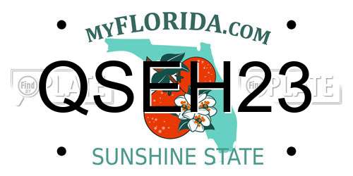 QSEH23 Florida License Plate