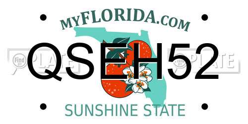 QSEH52 Florida License Plate