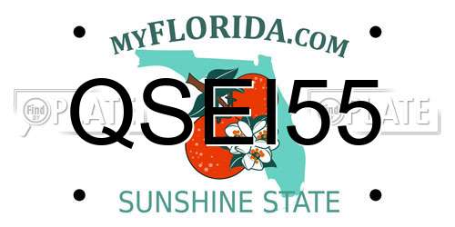 QSEI55 Florida License Plate