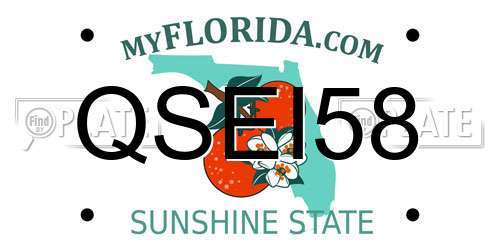 QSEI58 Florida License Plate