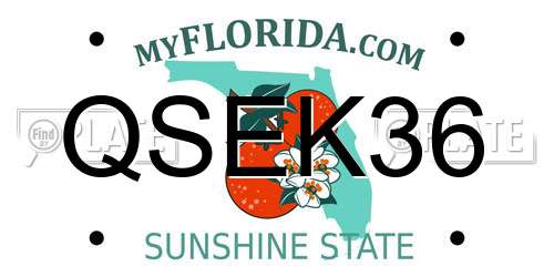 QSEK36 Florida License Plate