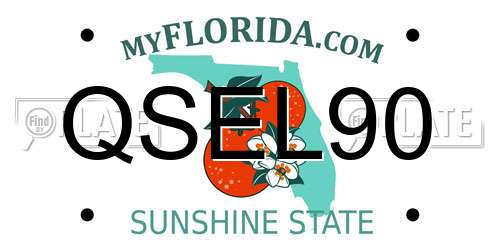 QSEL90 Florida License Plate