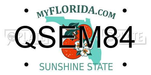 QSEM84 Florida License Plate