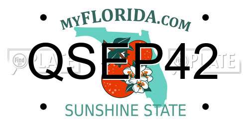 QSEP42 Florida License Plate