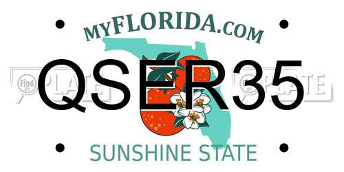 QSER35 Florida License Plate