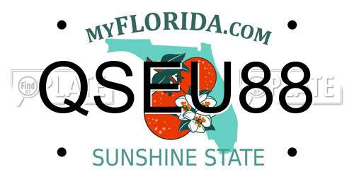 QSEU88 Florida License Plate