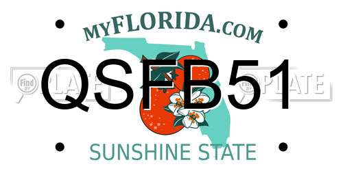 QSFB51 Florida License Plate