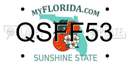 QSFF53 Florida License Plate